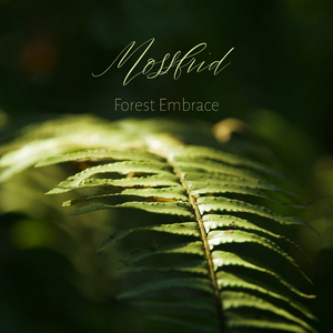 笔盒beatbox在线观看
