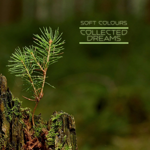 三级全黄60分钟以上
