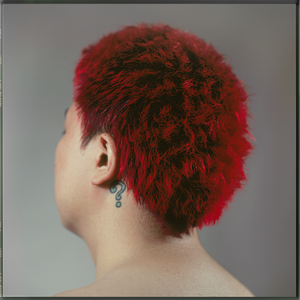 在线观看视频操死我了17c
