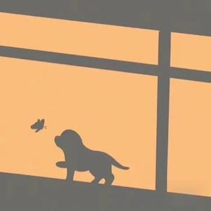 水管视频com最新版本更新内容
