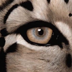 求爸爸的大鸡巴操了小穴喷水
