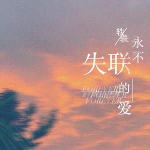 国内精品久久久久久影院中文字幕
