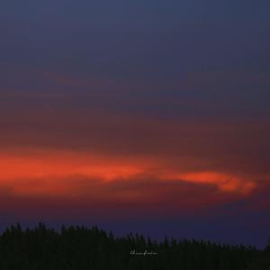 国内精品久久久久久影院中文字幕
