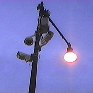 大香蕉视频在线观看
