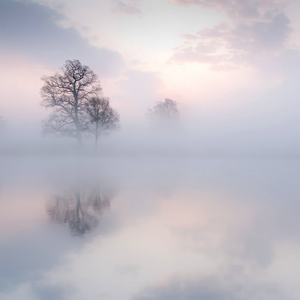 亚洲第一av最大网站
