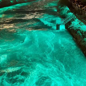 天天干胖女人色网
