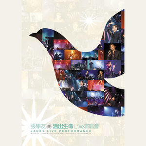 赖俊与沈莹的第二次相遇与相处
