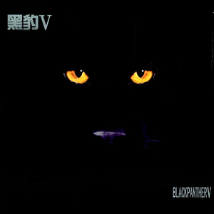 小奶球舞蹈视频大全
