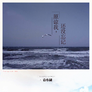 国内精品久久久久久影院中文字幕
