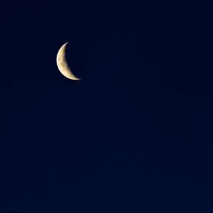 小奶球舞蹈视频大全
