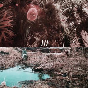 国内精品久久久久久影院中文字幕
