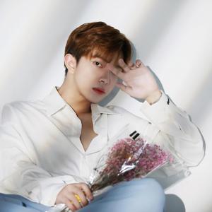 大香蕉视频在线观看
