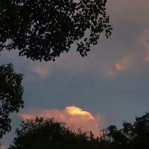 国内精品久久久久久影院中文字幕
