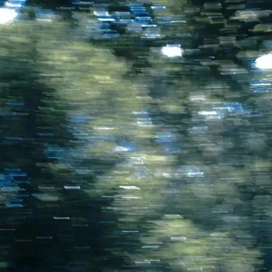 BonniGee熟妇乱婬AV片
