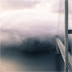 天天干胖女人色网
