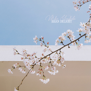 帆布鞋碾精用脚磨男生的要害故事
