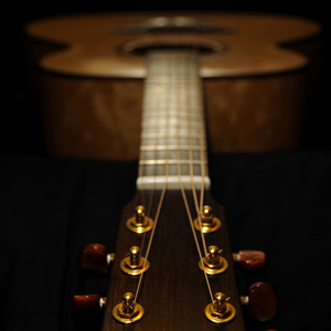 水管视频com最新版本更新内容
