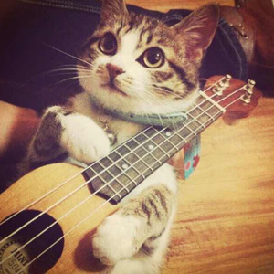 帆布鞋碾精用脚磨男生的要害故事
