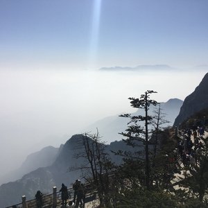 大香蕉视频在线观看
