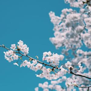 水管视频com最新版本更新内容
