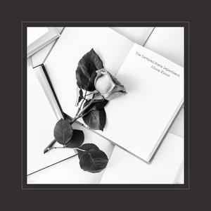 赖俊与沈莹的第二次相遇与相处
