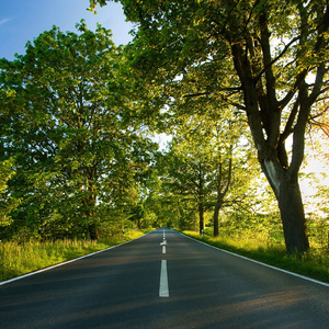 天天干胖女人色网
