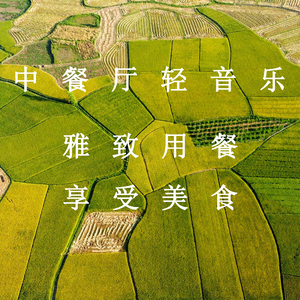 国内精品久久久久久影院中文字幕
