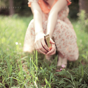 成人蜘蛛系列A片
