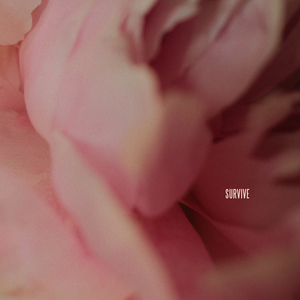 赖俊与沈莹的第二次相遇与相处
