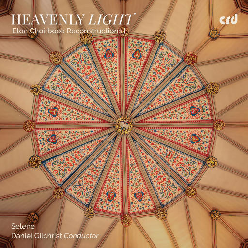 赖俊与沈莹的第二次相遇与相处
